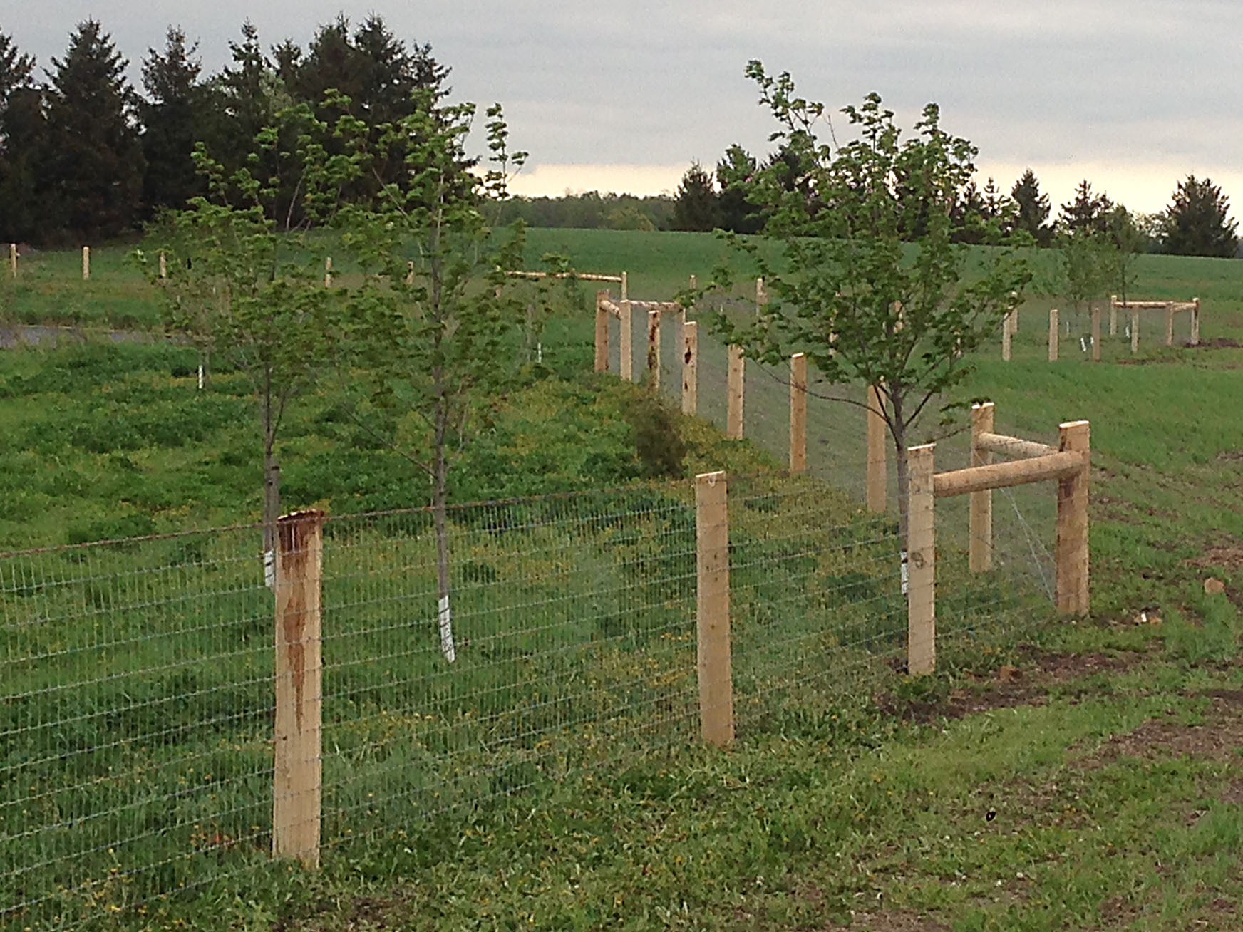 Woven Wire Fencing Projects Ontario - Inline Fence